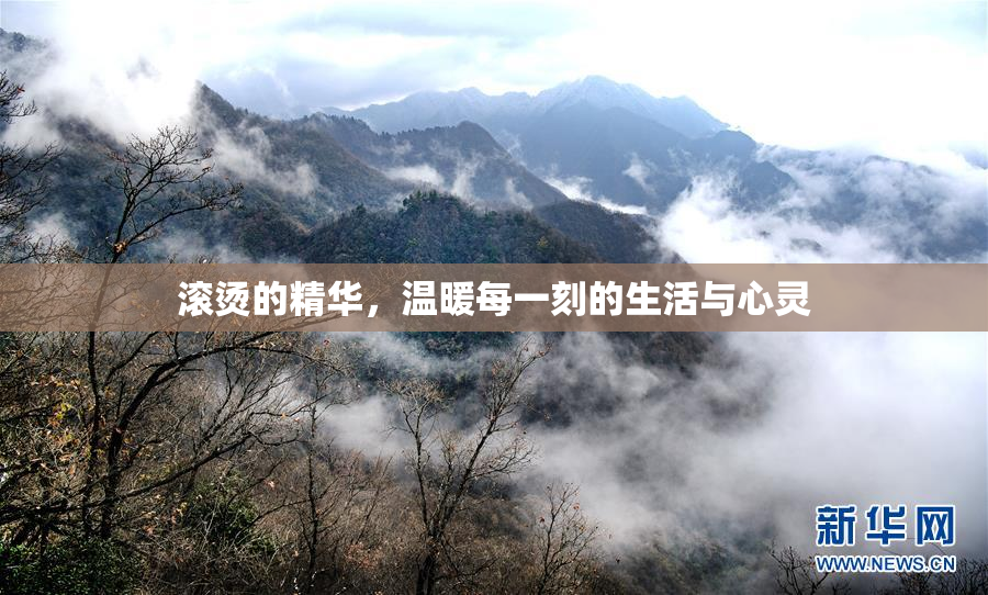 滚烫的精华，温暖每一刻的生活与心灵