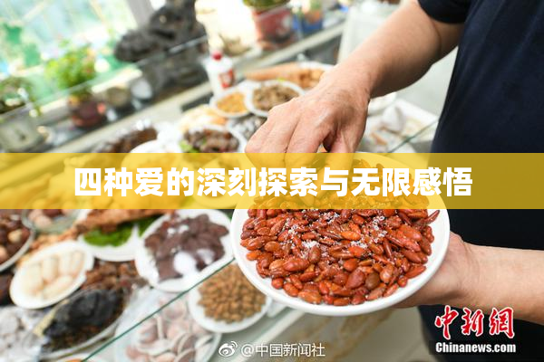 四种爱的深刻探索与无限感悟