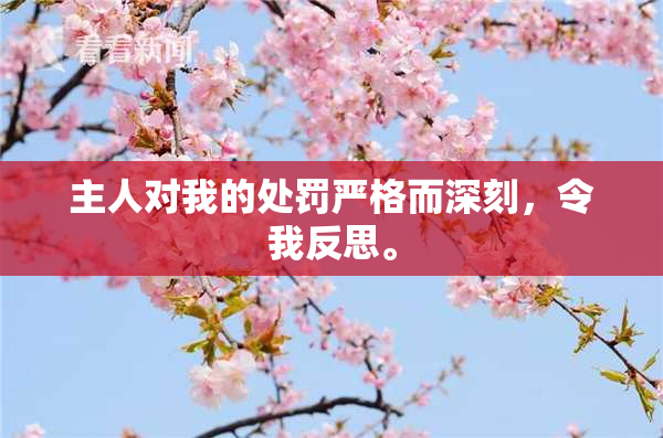 主人对我的处罚严格而深刻，令我反思。