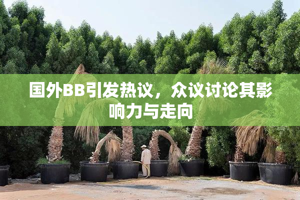 国外BB引发热议，众议讨论其影响力与走向