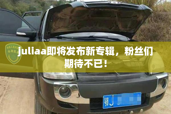 juliaa即将发布新专辑，粉丝们期待不已！