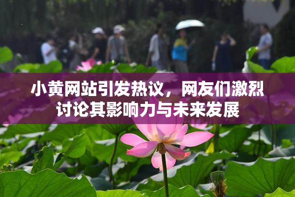 小黄网站引发热议，网友们激烈讨论其影响力与未来发展