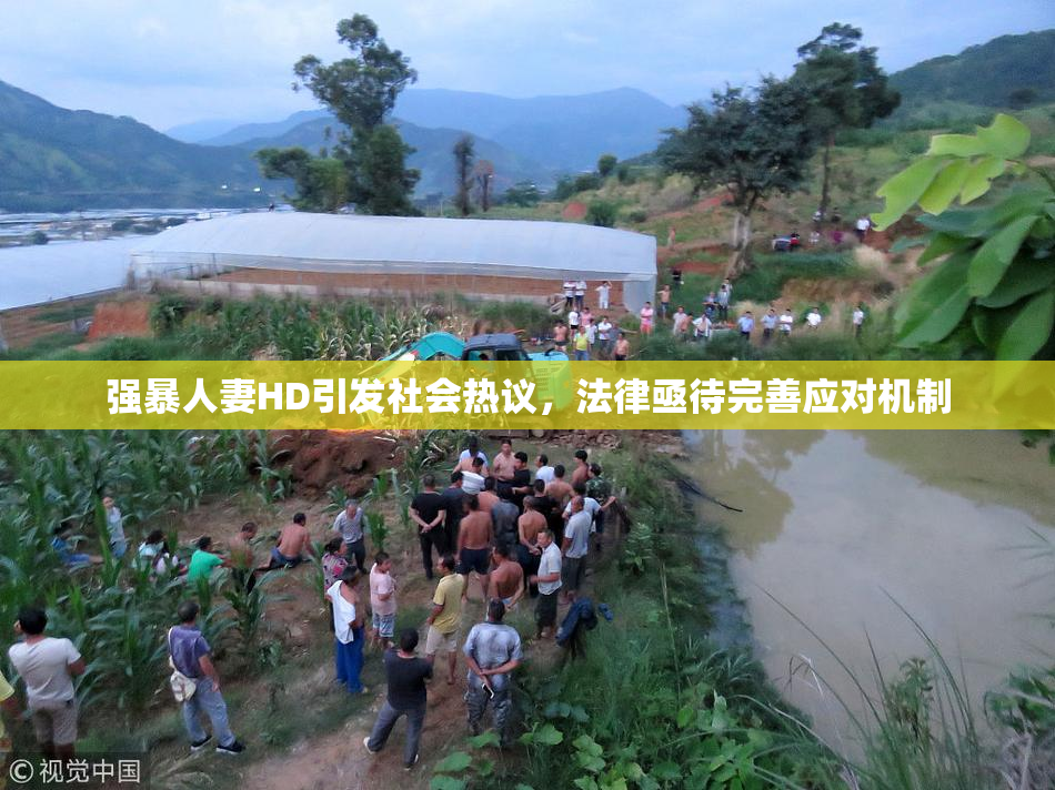 强暴人妻HD引发社会热议，法律亟待完善应对机制