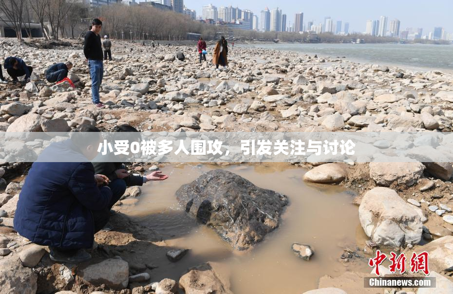 小受0被多人围攻，引发关注与讨论