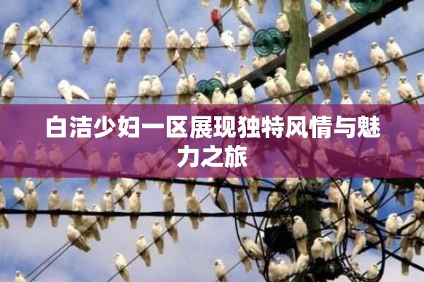 白洁少妇一区展现独特风情与魅力之旅