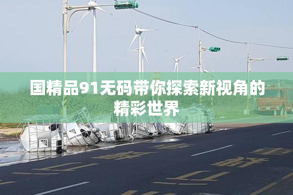 国精品91无码带你探索新视角的精彩世界