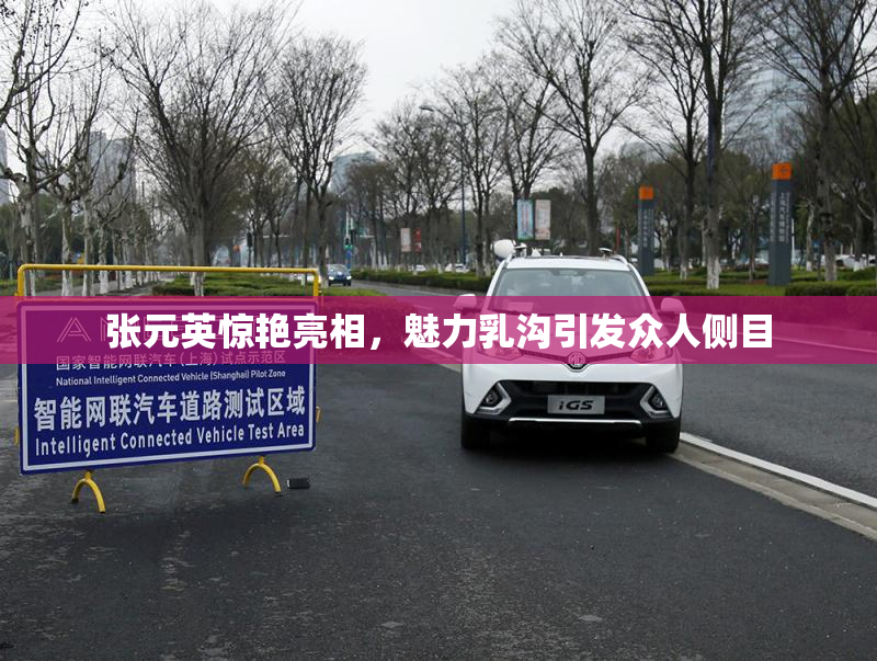 张元英惊艳亮相，魅力乳沟引发众人侧目