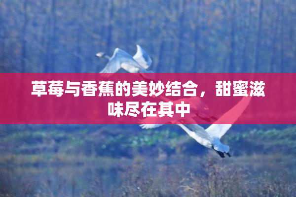 草莓与香蕉的美妙结合，甜蜜滋味尽在其中