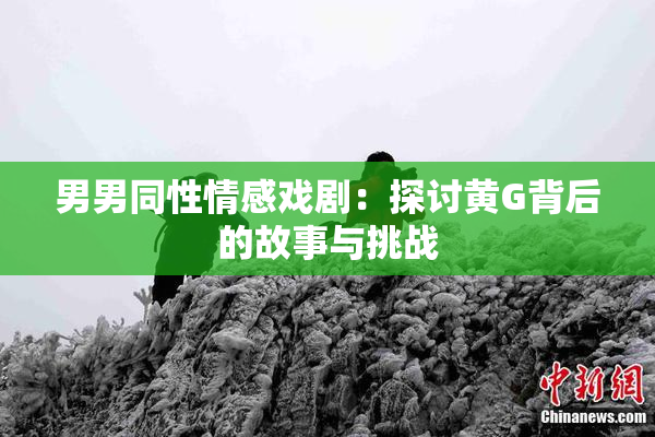男男同性情感戏剧：探讨黄G背后的故事与挑战
