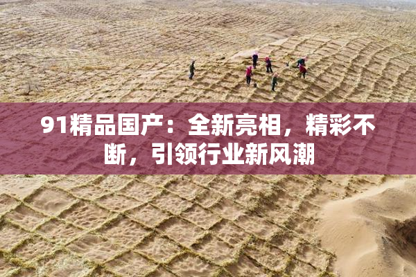 91精品国产：全新亮相，精彩不断，引领行业新风潮