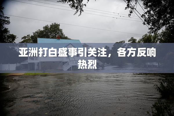 亚洲打白盛事引关注，各方反响热烈