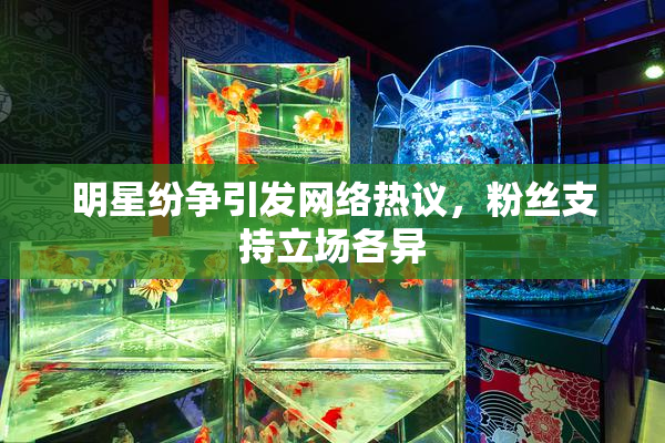 明星纷争引发网络热议，粉丝支持立场各异