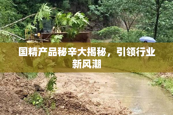 国精产品秘辛大揭秘，引领行业新风潮