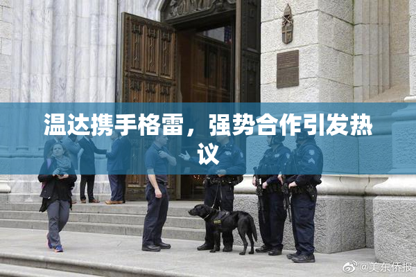 温达携手格雷，强势合作引发热议