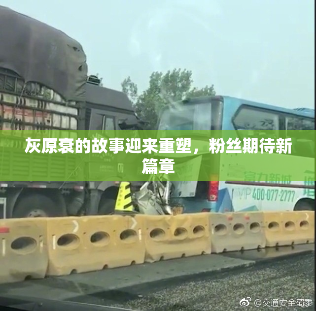 灰原衰的故事迎来重塑，粉丝期待新篇章