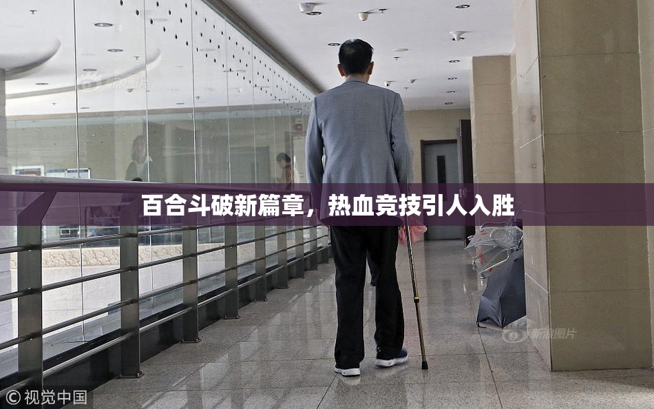 百合斗破新篇章，热血竞技引人入胜