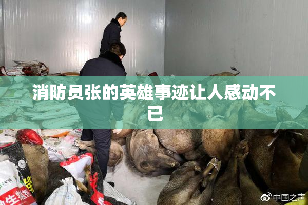 消防员张的英雄事迹让人感动不已