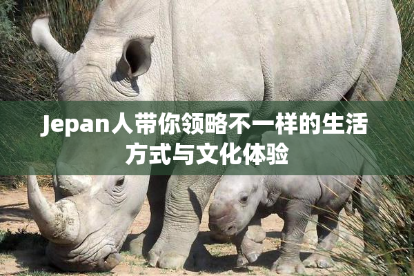 Jepan人带你领略不一样的生活方式与文化体验