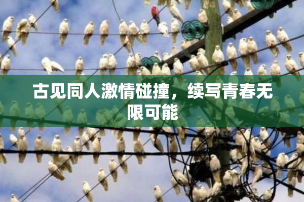 古见同人激情碰撞，续写青春无限可能
