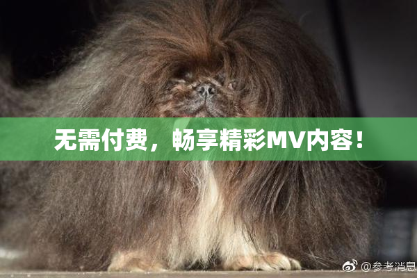 无需付费，畅享精彩MV内容！