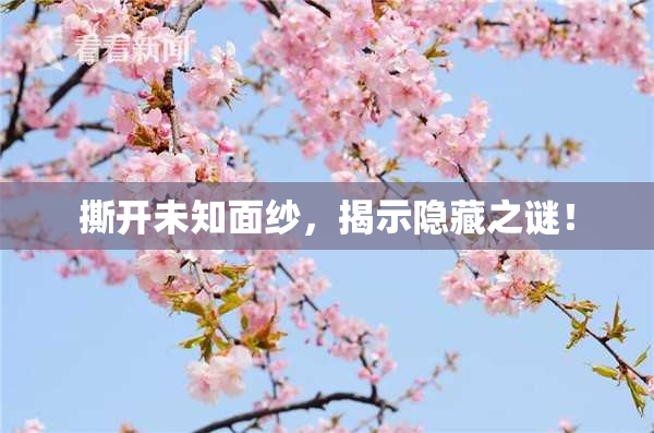 撕开未知面纱，揭示隐藏之谜！