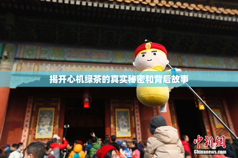 揭开心机绿茶的真实秘密和背后故事