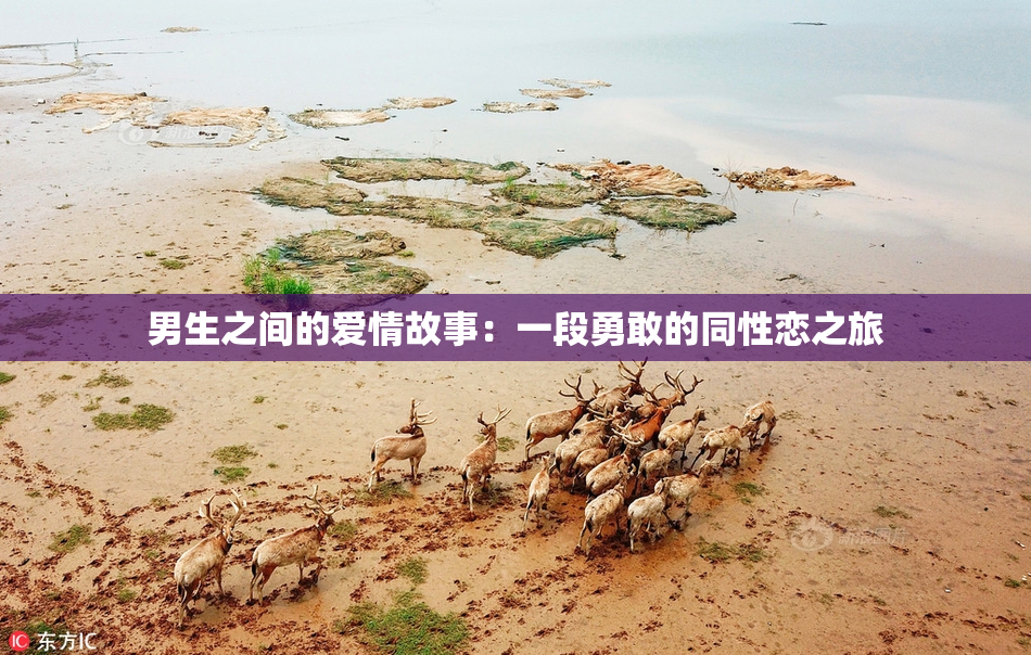 男生之间的爱情故事：一段勇敢的同性恋之旅