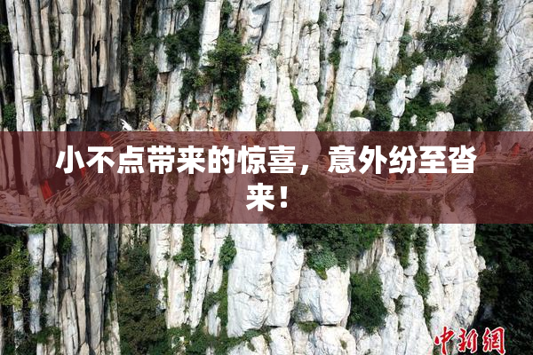 小不点带来的惊喜，意外纷至沓来！