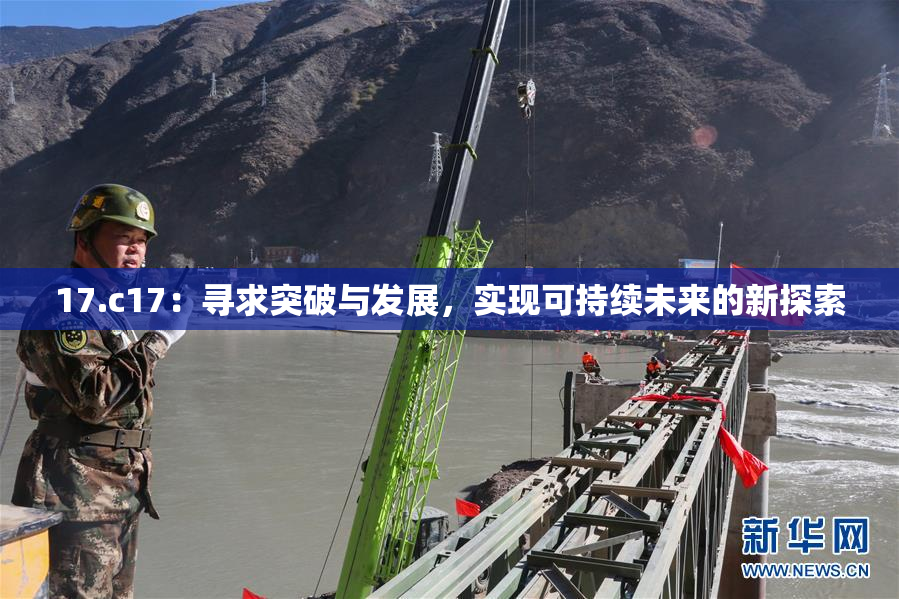 17.c17：寻求突破与发展，实现可持续未来的新探索