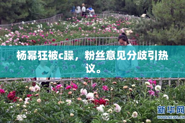 杨幂狂被c躁，粉丝意见分歧引热议。