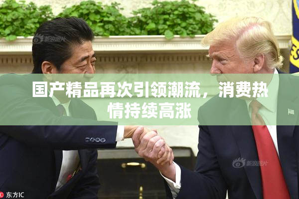 国产精品再次引领潮流，消费热情持续高涨