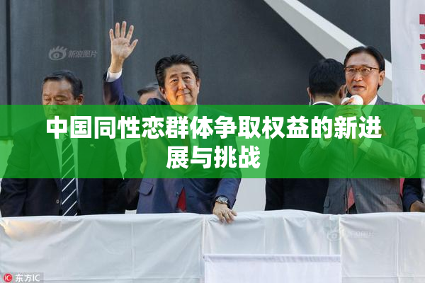 中国同性恋群体争取权益的新进展与挑战
