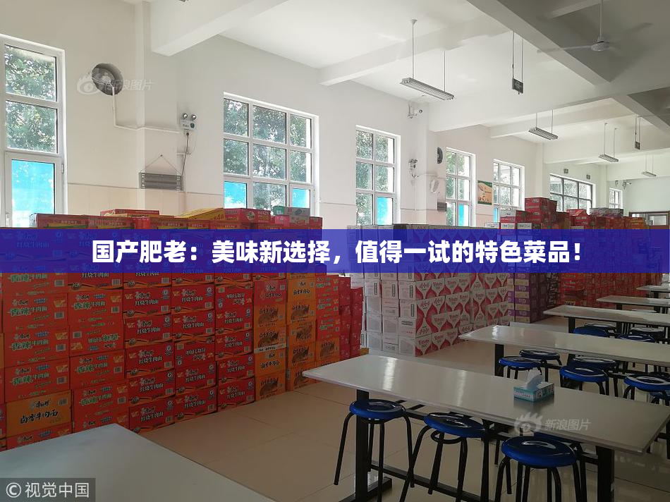 国产肥老：美味新选择，值得一试的特色菜品！