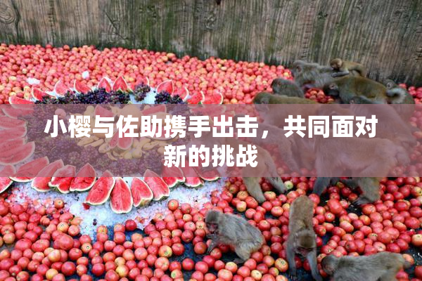 小樱与佐助携手出击，共同面对新的挑战