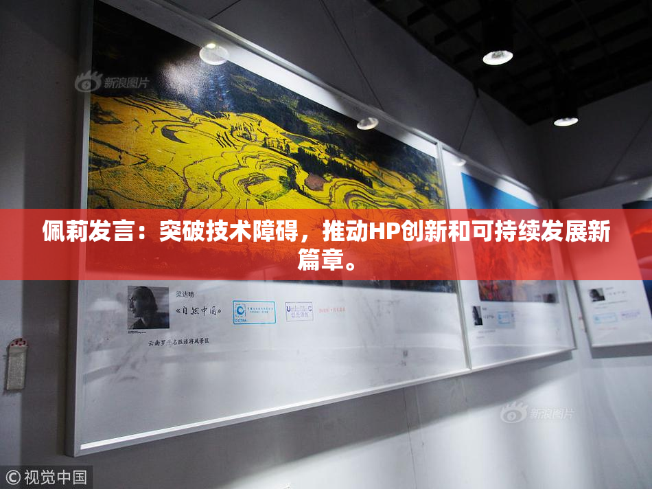 佩莉发言：突破技术障碍，推动HP创新和可持续发展新篇章。