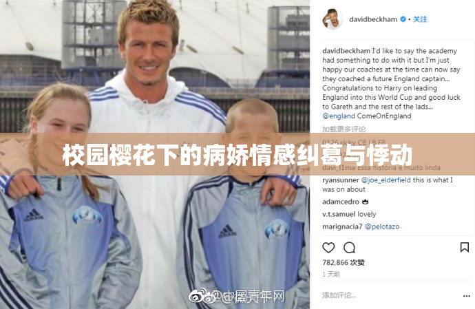 校园樱花下的病娇情感纠葛与悸动