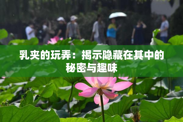 乳夹的玩弄：揭示隐藏在其中的秘密与趣味