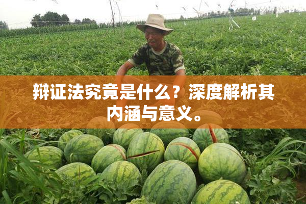 辩证法究竟是什么？深度解析其内涵与意义。