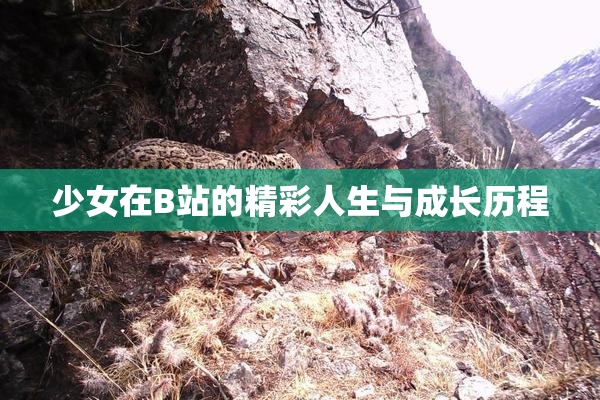 少女在B站的精彩人生与成长历程