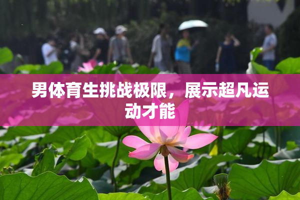 男体育生挑战极限，展示超凡运动才能