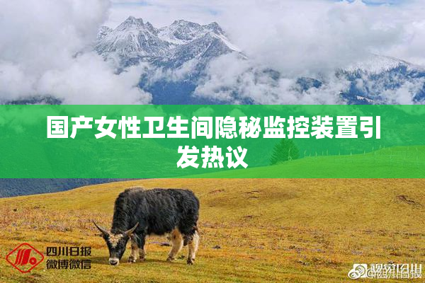 国产女性卫生间隐秘监控装置引发热议