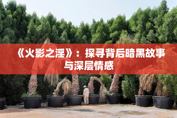 《火影之淫》：探寻背后暗黑故事与深层情感