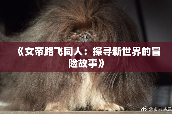 《女帝路飞同人：探寻新世界的冒险故事》