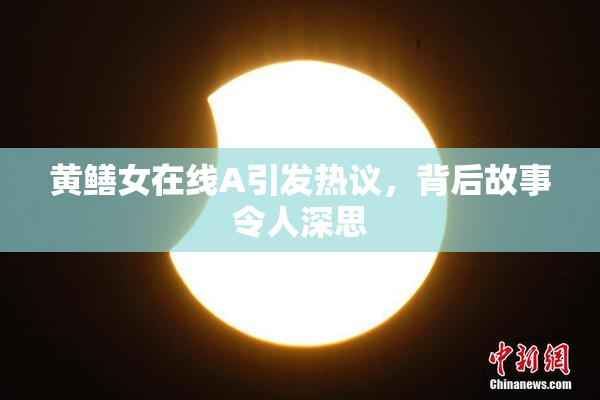 黄鳝女在线A引发热议，背后故事令人深思