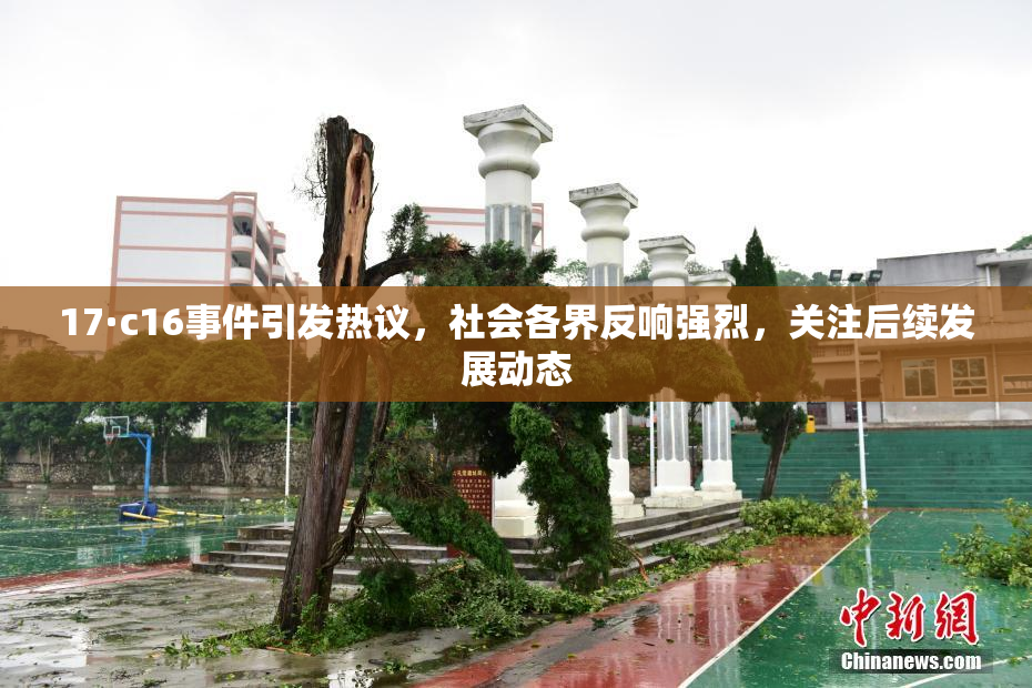 17·c16事件引发热议，社会各界反响强烈，关注后续发展动态