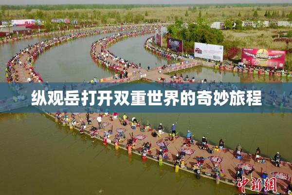 纵观岳打开双重世界的奇妙旅程
