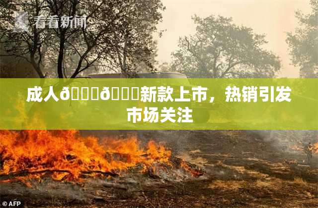 成人🍆🍑新款上市，热销引发市场关注