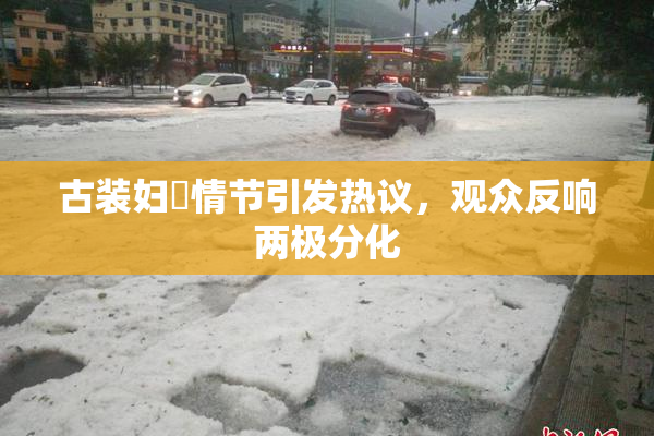 古装妇婬情节引发热议，观众反响两极分化