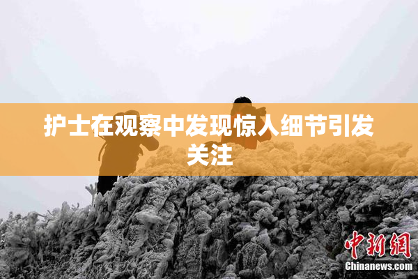 护士在观察中发现惊人细节引发关注