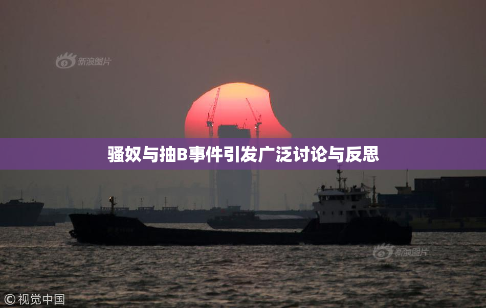 骚奴与抽B事件引发广泛讨论与反思